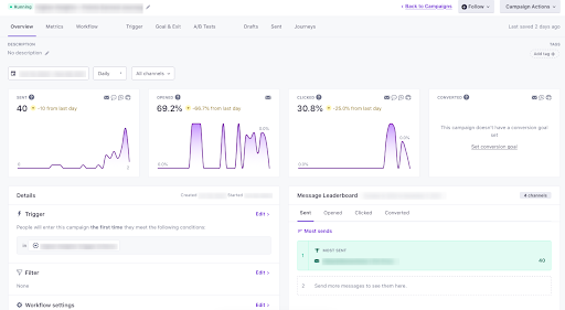 Detailed metrics for the Campaign - 1
