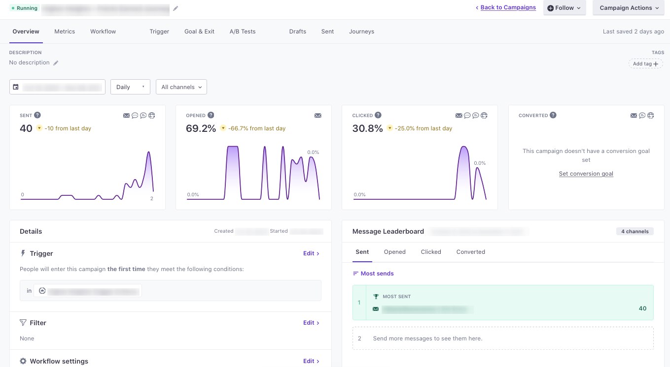 Detailed metrics for the Campaign - 1