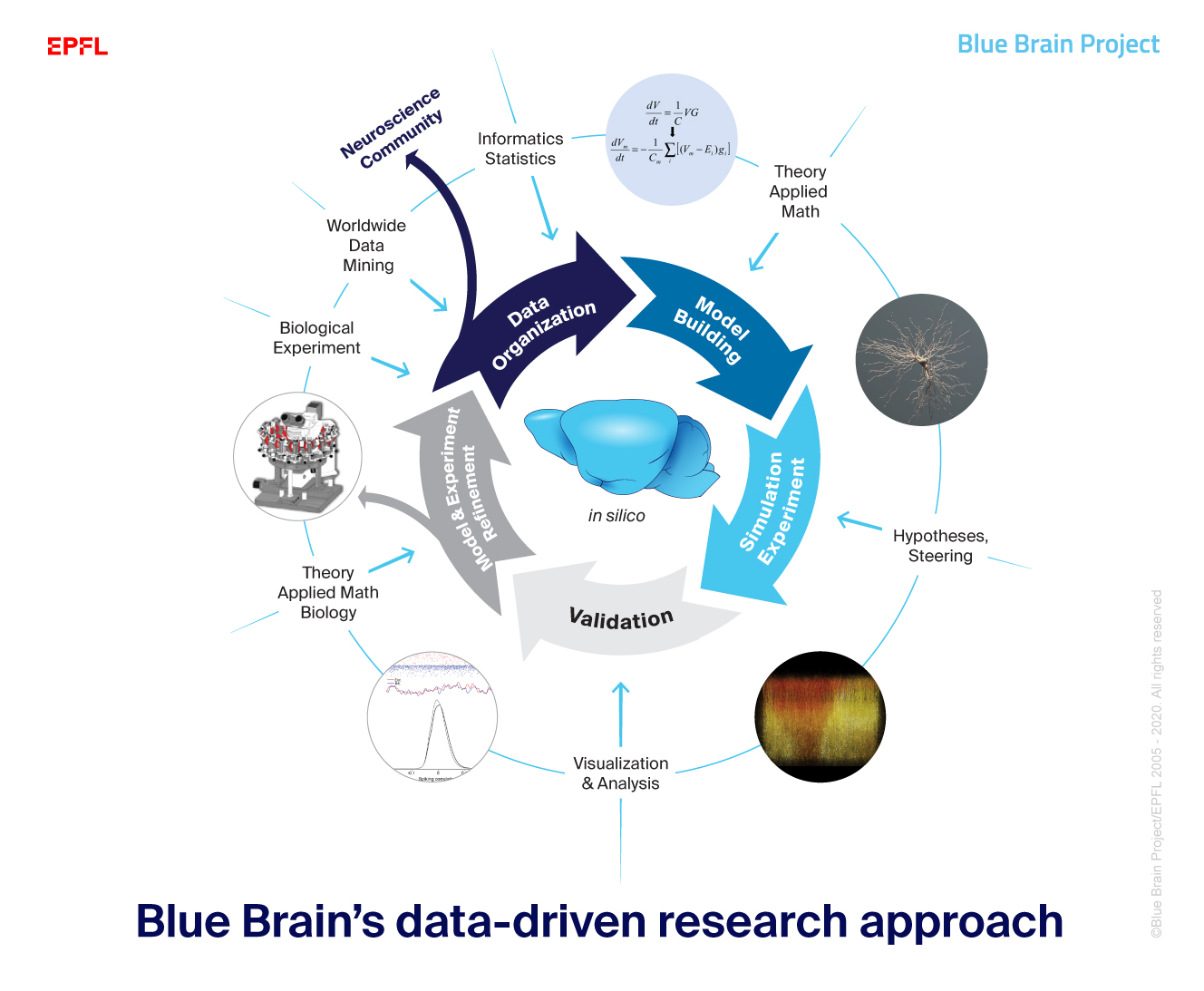 Blue Brain’s data-driven research approach - 1