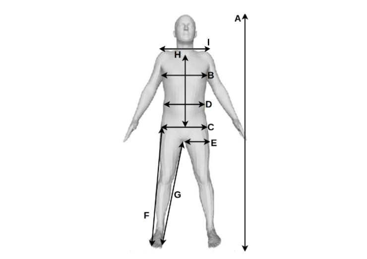 FrankMocap: A Monocular 3D Whole-Body Pose Estimation System via Regression  and Integration: Paper and Code - CatalyzeX