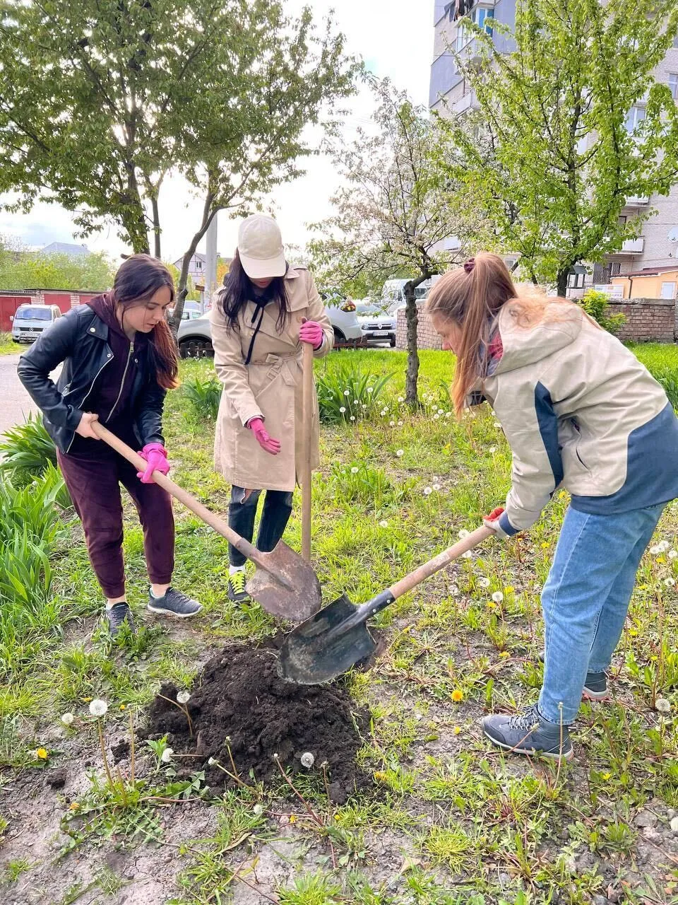 planting projects - 01